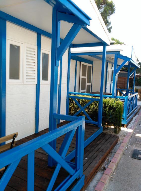 Camping Camping San Javier San Javier